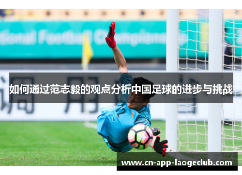 如何通过范志毅的观点分析中国足球的进步与挑战
