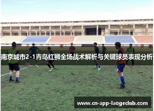 南京城市2-1青岛红狮全场战术解析与关键球员表现分析