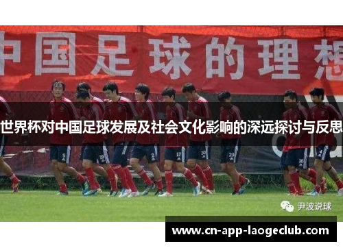 世界杯对中国足球发展及社会文化影响的深远探讨与反思