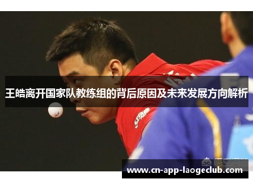 王皓离开国家队教练组的背后原因及未来发展方向解析