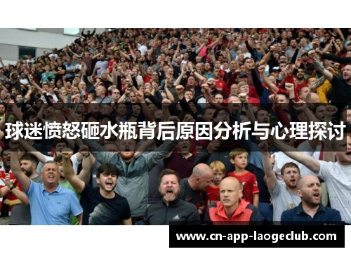 球迷愤怒砸水瓶背后原因分析与心理探讨