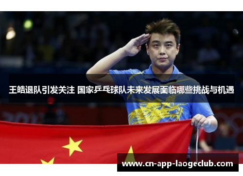王皓退队引发关注 国家乒乓球队未来发展面临哪些挑战与机遇 王皓退队引发关注 国家乒乓球队未来发展面临哪些挑战与机遇
