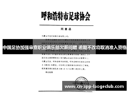 中国足协加强审查职业俱乐部欠薪问题 逾期不改将取消准入资格 中国足协加强审查职业俱乐部欠薪问题 逾期不改将取消准入资格